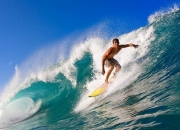 熊猫体育官方网站-猛龙掀翻鹈鹕，哈登成为关键先生，一场战术与意志的胜利